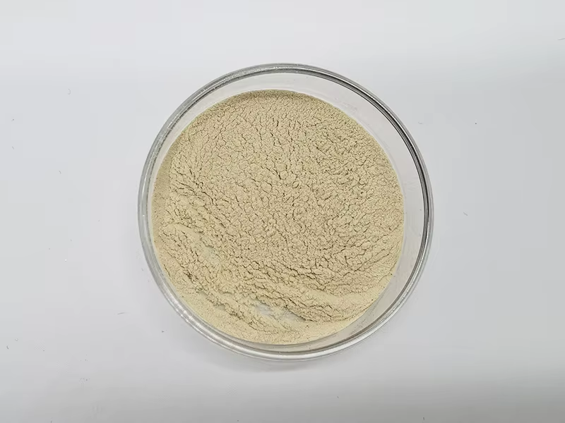 Antioxidant Improve Sleep Food Grade Natural Enzymolysis Lotus Seed Powder